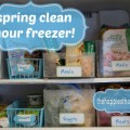 spring-clean-your-freezer-final