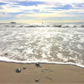 New Year View Beach
